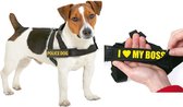 Doggy talk sono un maschio 13cm x 3cm