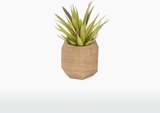 Oakywood Geometrische Plantenpot Eikenhout