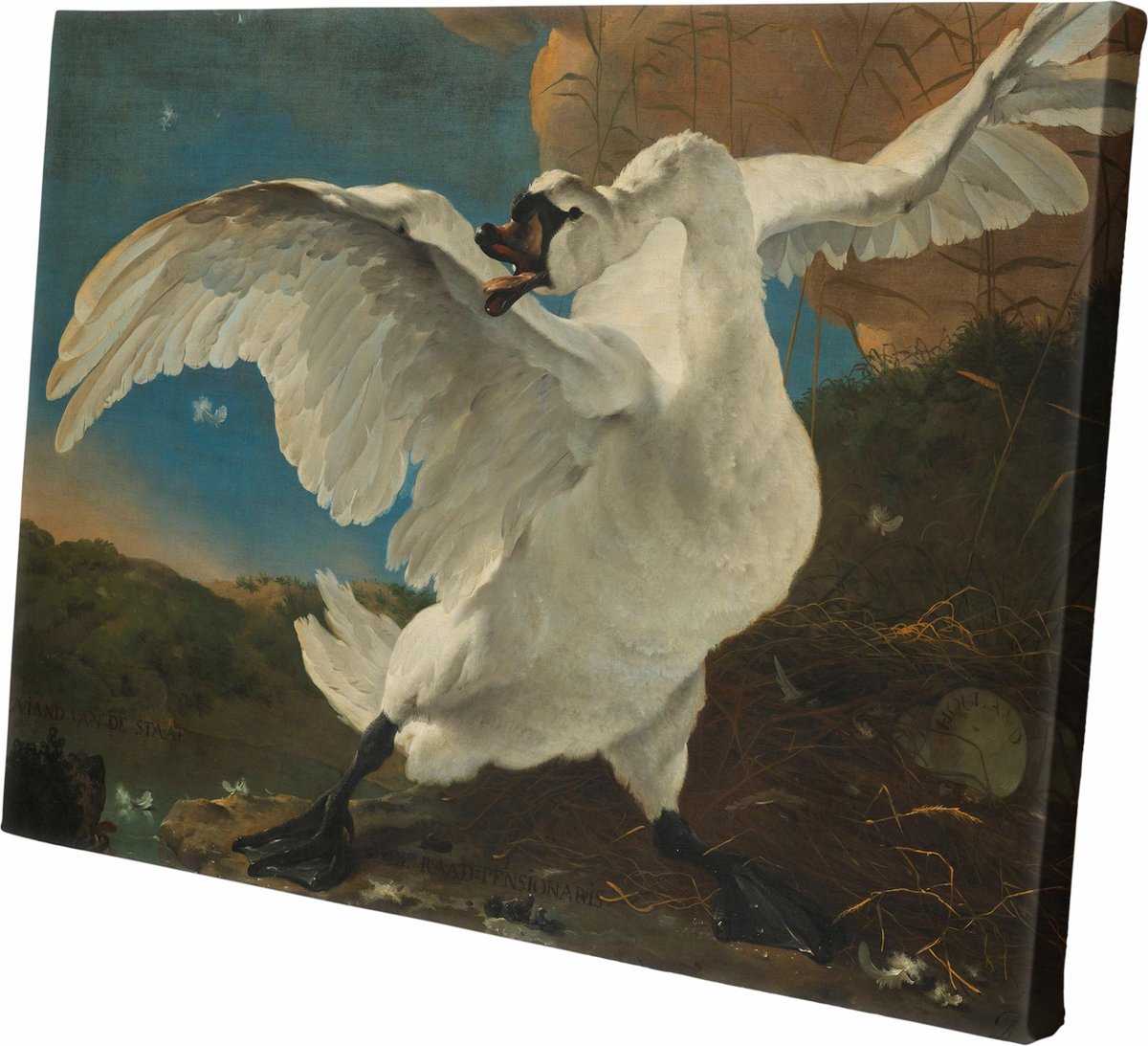 De bedreigde zwaan | Jan Asselijn | 60 CM x 40 CM | Canvas | Foto op canvas | Oude Meesters