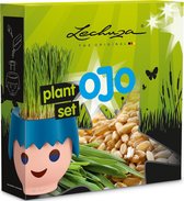LECHUZA Playmobil OJO - Set met organisch tarwegraszaad en plantplaat voor OJO educatieve bloempot (zonder plantenbak!)