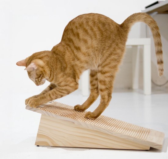 Preventie lippen Reorganiseren Katten krabplank – Catswall scratching board | bol.com