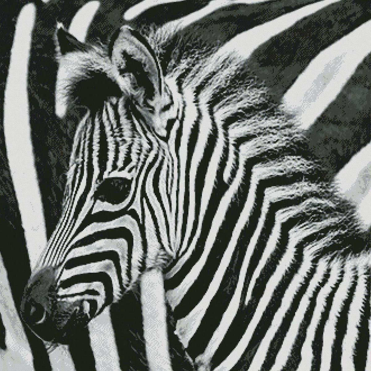 Borduurpatroon Zebrastrepen