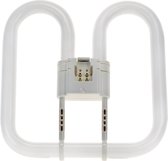 General Electric 2D Compact fluorescentielamp z. VSA