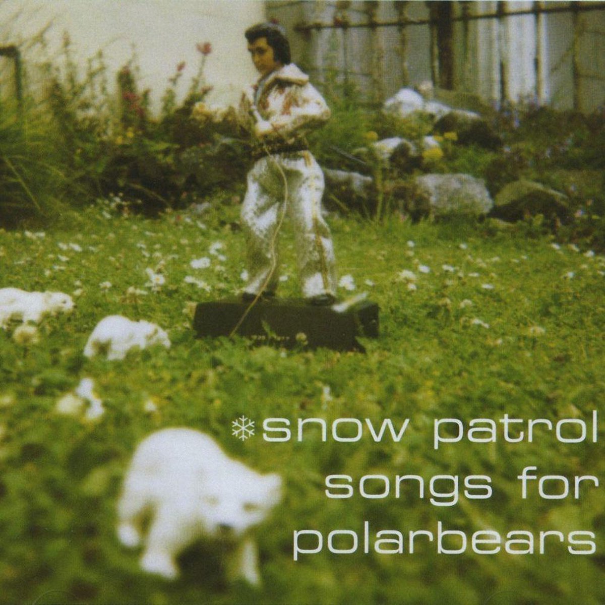 Songs For Polar Bears