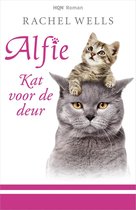 Kat voor de deur