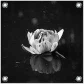 Tuinposter –Lelie op het Water– 50x50cmFoto op Tuinposter (Wanddecoratie voor buiten en binnen)