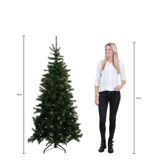 Black Box stary kerstboom met warmwit led bruin 150 lampjes tips 51 maat in  cm: 185 x... | bol.com