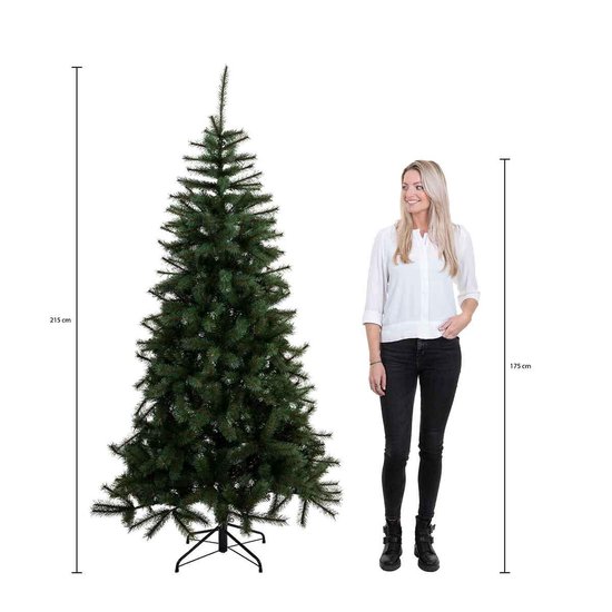 Triumph Tree - Rochdale kerstboom groen TIPS 812 - h215xd132cm - Kerstbomen  (Franse... | bol.com