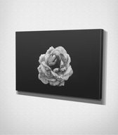 White Flower Canvas - 60 x 40 cm - Bloemen - Schilderij - Canvas - Slaapkamer - Wanddecoratie  - Slaapkamer - Foto op canvas