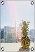 Tuinposter –Ananas in de Stad– 60x90cm Foto op Tuinposter (wanddecoratie voor buiten en binnen)