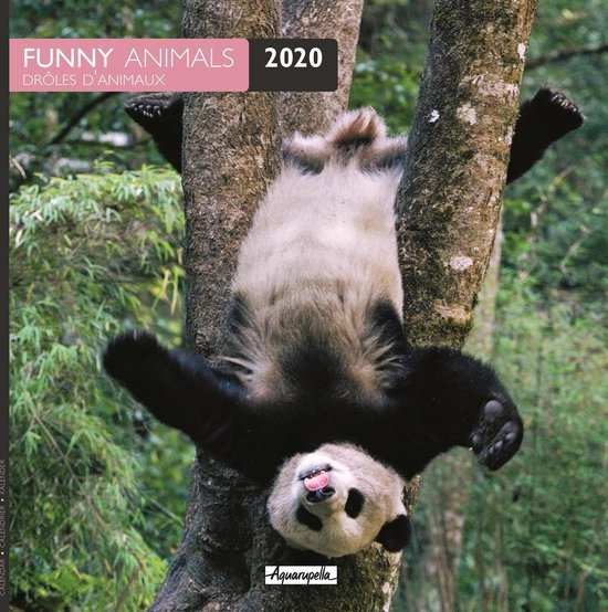 Verbazingwekkend bol.com | Grappige Dieren - Funny Animals Kalender 2020 UU-43
