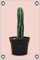 Tuinposter –Cactus op Roze achtergrond in Zwarte Pot – 60x90cm Foto op Tuinposter (wanddecoratie voor buiten en binnen)