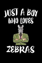 Just A Boy Who Loves Zebras