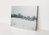 Sneeuw | Schapen | Natuur | Stichting BY Amanda | Canvasdoek | Wanddecoratie | 90CM x 60CM | Schilderij