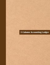 3 Column Accounting Ledger