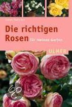 Die richtigen Rosen für meinen Garten