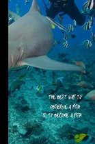 The best way to observe a fish is to become a fish