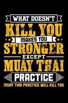 What doesn't kill you makes you stronger except Muay Thai practice Muay Thai practice will kill you