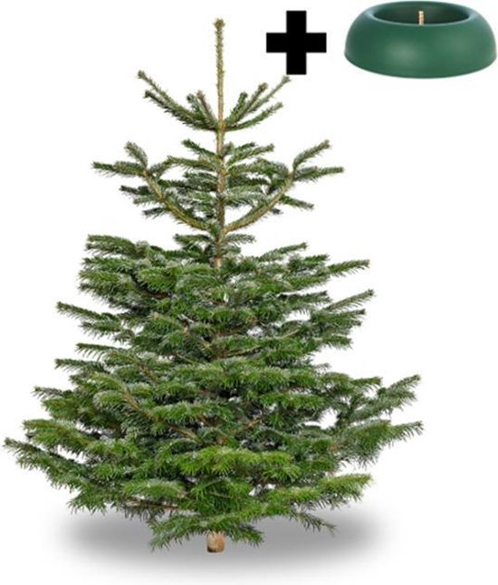 Haat Bezwaar Roei uit Echte Nordmann kerstboom (175 cm) + Easyfix kerstboomstandaard | bol.com