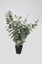 Eucalyptus plant - zijden plant - kantoorplant - topkwaliteit kunstplant - 75cm