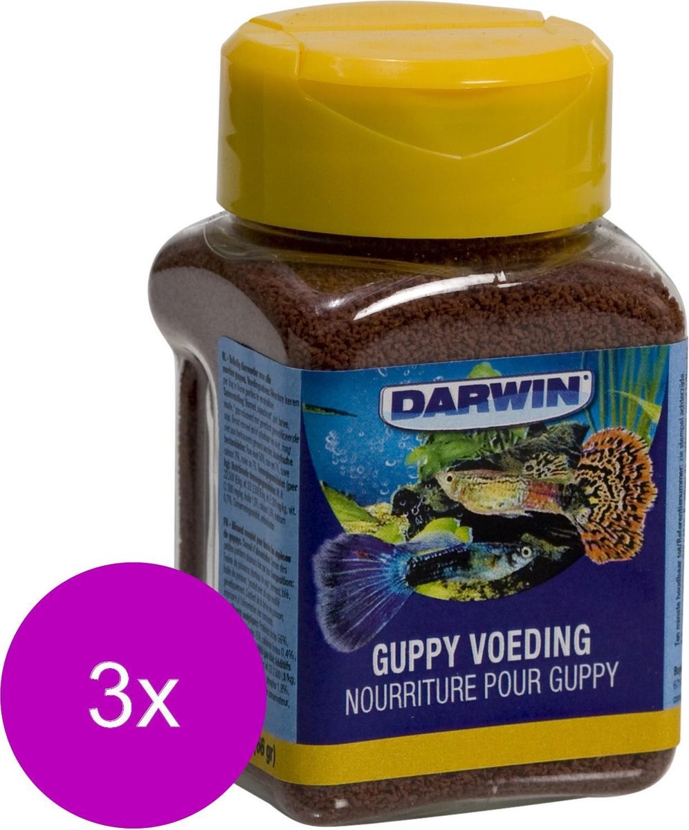 Darwin Guppy Voeding - Vissenvoer - 3 x 100 ml