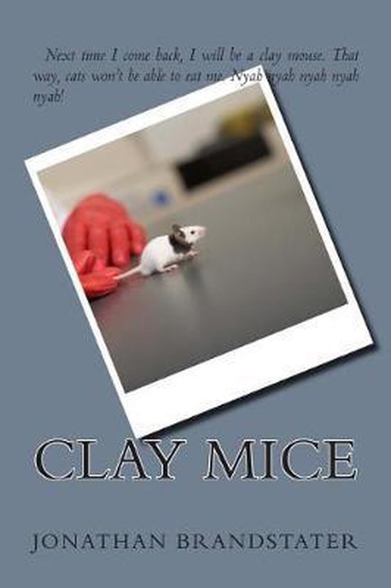 Boek cover Clay Mice van Jonathan Jay Brandstater (Paperback)