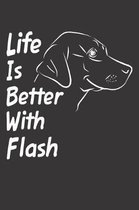 Life Is Better With Flash