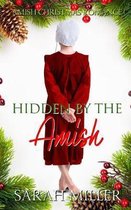 Hidden by the Amish