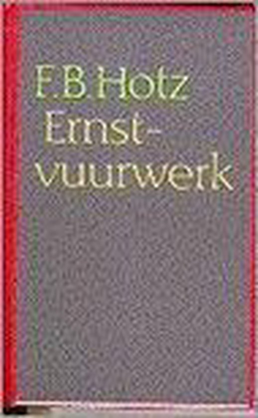9789029521017 - Ernstvuurwerk
