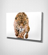 Jaguar Canvas | 80x120 cm