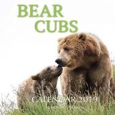 Bear Cubs Calendar 2019