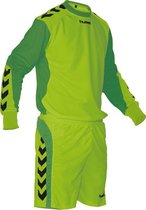 Hummel Dublin Keeperset - Voetbalshirt - Mannen - Maat XL - Groen