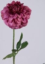 Dahlia - zijden bloem - 1 stuk - paars - topkwaliteit - 60cm