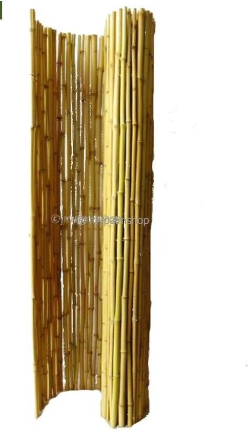 bovenstaand hier Protestant Bamboe op rol | 180cm x 180cm | Bamboe Rolscherm naturel | Zeer  aantrekkelijk scherm... | bol.com