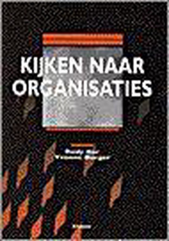 9789026727924 - Kijken naar organisaties