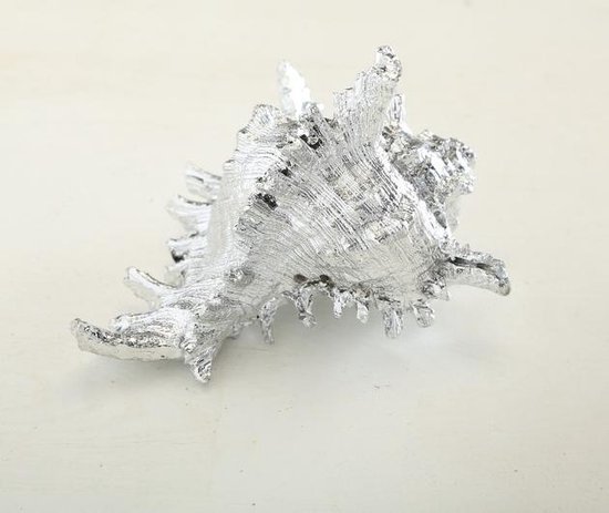 Plateau Décoratif Argenté – Feuilles Et Fruits – 40x10cm – Aluminium
