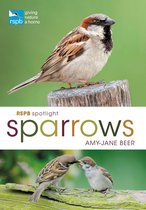 RSPB - RSPB Spotlight Sparrows