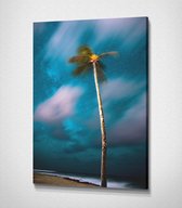 Palm Tree - 40 x 30 cm - Landschap - Schilderij - Canvas - Slaapkamer - Wanddecoratie  - Slaapkamer - Foto op canvas