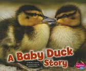 A Baby Duck Story (Baby Animals)