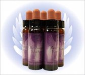 Yogi & Yogini naturals Archangel Raphael Essence (10 ml)