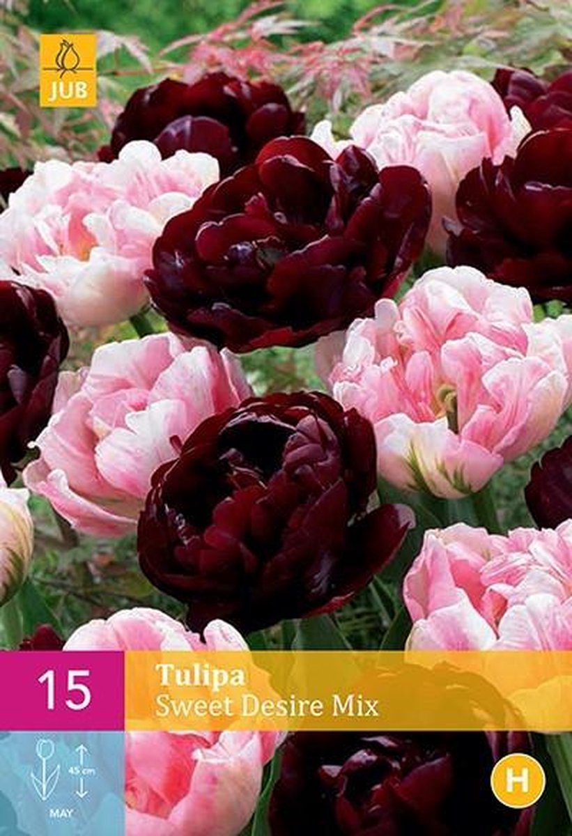 Jub Holland - bloembollen - Tulpen Sweet Desire Mix - maat 11/12 - 15 stuks