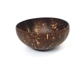 Plant Ahead - Coconut Bowl - Glossy - 500ml