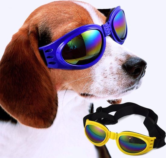 N.T.S. Zonnebril voor honden - Blauw - 100 % UV Zonnebril - Verstelbaar -  Comfortabel... | bol.com