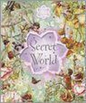 Flower Fairies Secret World