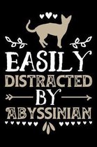 Easily Distracted By Abyssinian