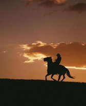 Horse Photo School Composition Book Equine Galloping Cowboy Silhouette