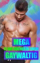 Mega Gaywaltig - 12 Gay B cher in Einem!
