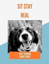 Sit Stay Heal
