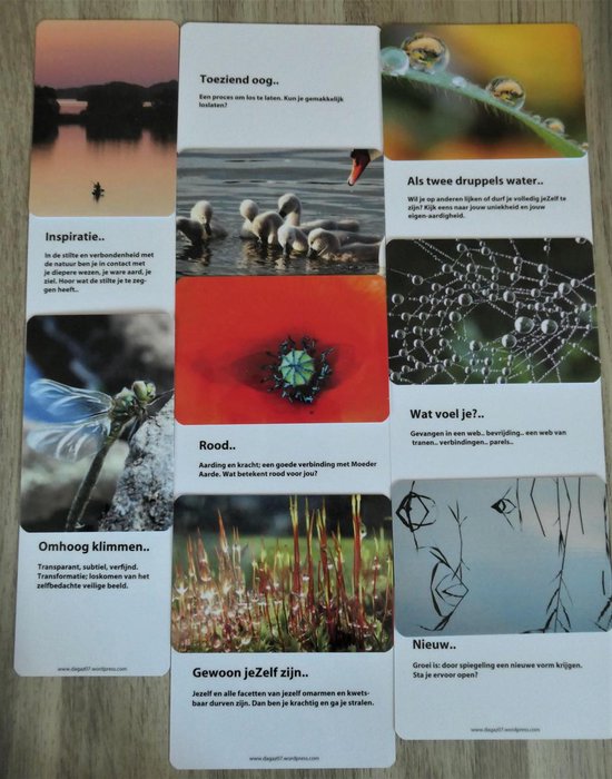 Inspiratiekaarten - 52 natuurfoto- inzichtkaarten -