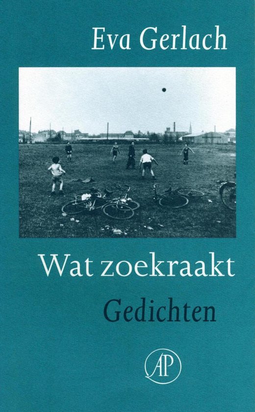 Wat zoekraakt - cover